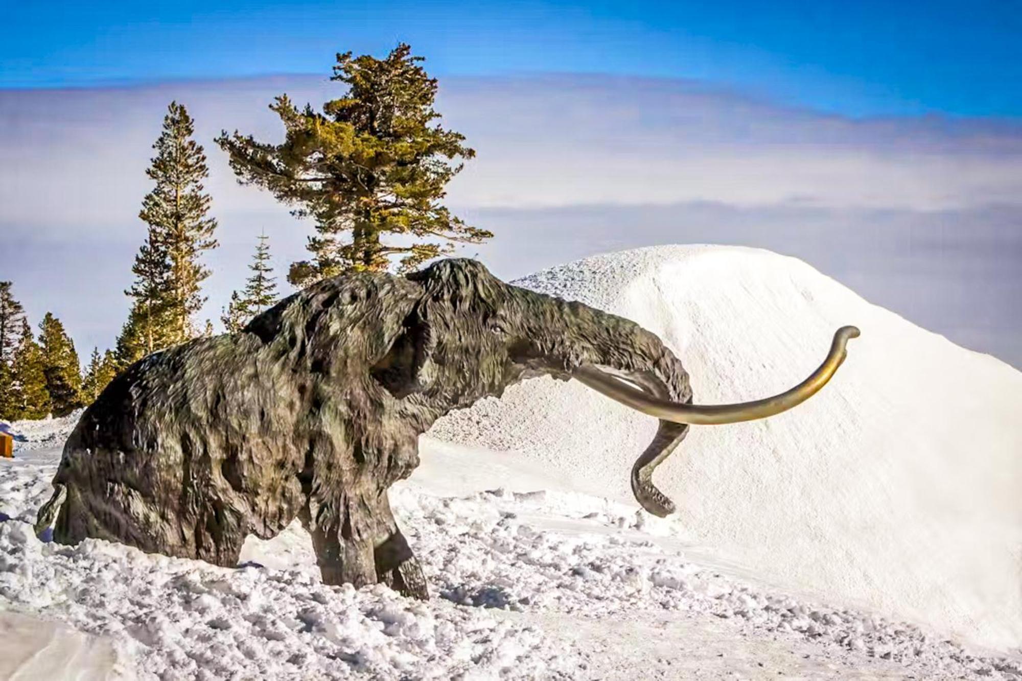 Discovery 4 119 Mammoth Lakes Esterno foto